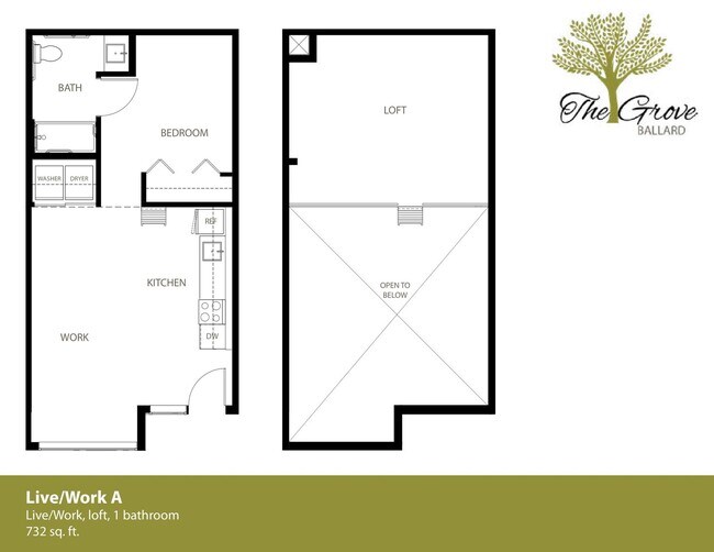 Studio A 206 MFTE floor plan